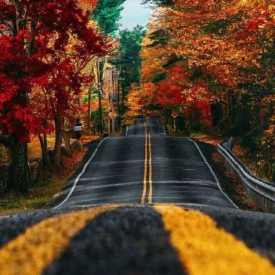 贝博app代言艾弗森app下载